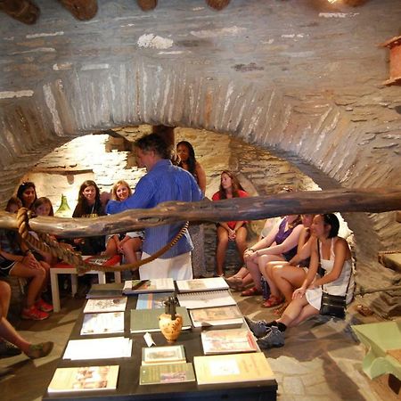 Cyclades Olive Museum'S Guest House Pitrofos Екстериор снимка