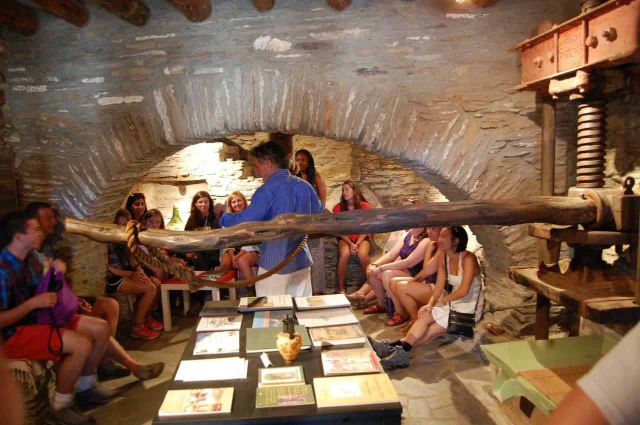 Cyclades Olive Museum'S Guest House Pitrofos Екстериор снимка
