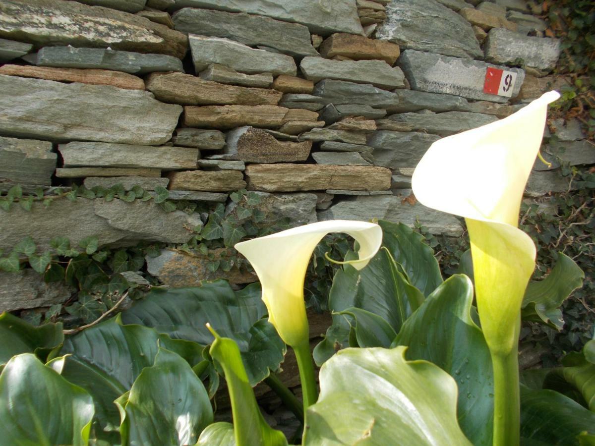 Cyclades Olive Museum'S Guest House Pitrofos Екстериор снимка